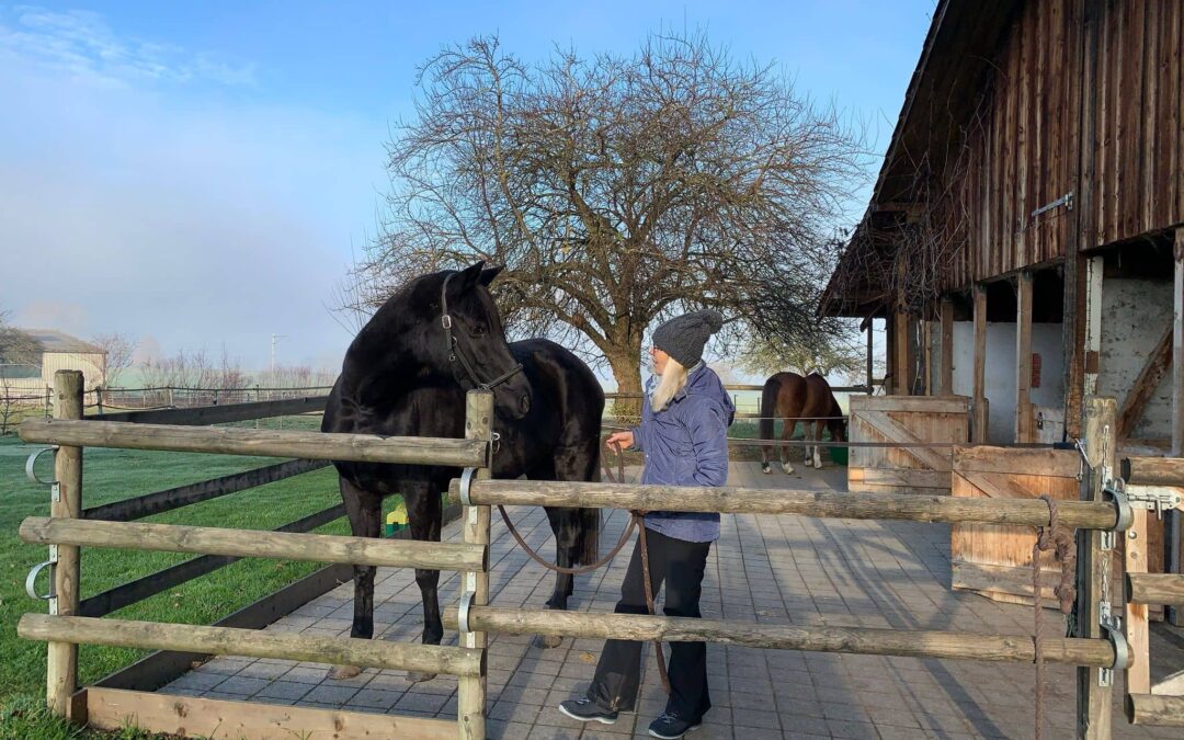 Begleitung Mensch & Pferd – Kunden Rückmeldung